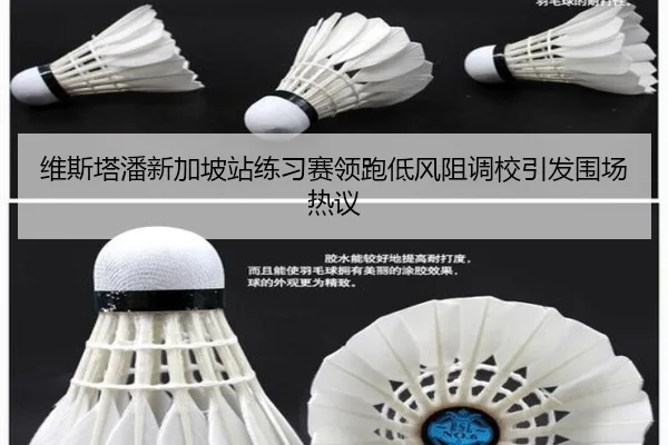 维斯塔潘新加坡站练习赛领跑低风阻调校引发围场热议